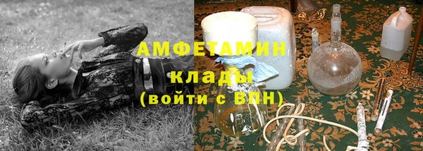 ПСИЛОЦИБИНОВЫЕ ГРИБЫ Балабаново