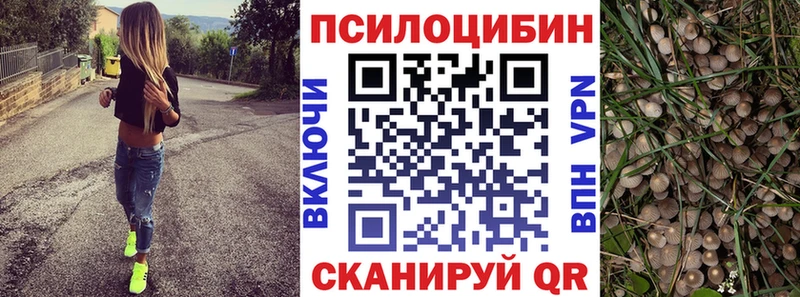 Галлюциногенные грибы GOLDEN TEACHER  купить наркотик  Тотьма 